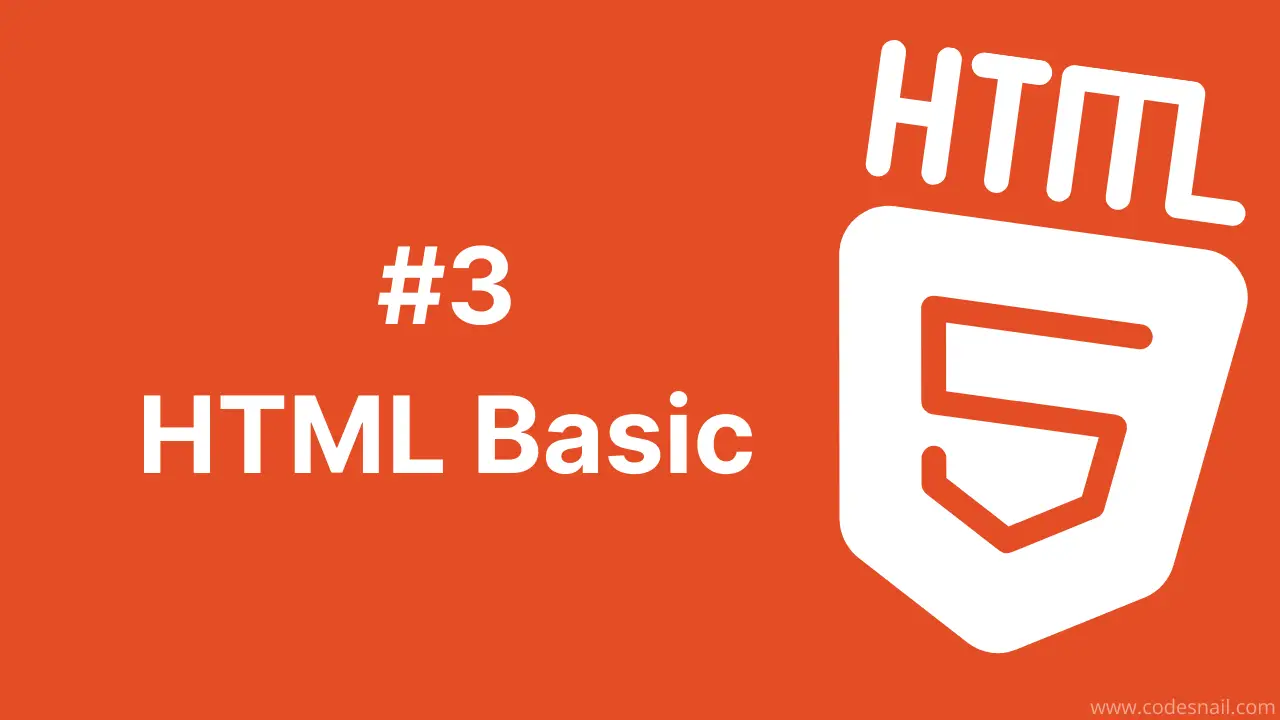 #3 HTML Basic